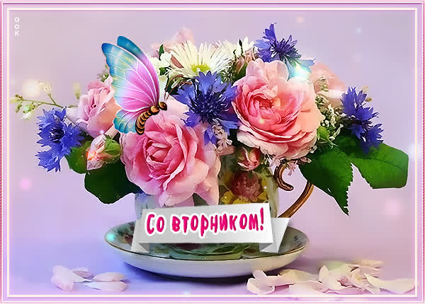 Picture открытка желаю чудесного вторника