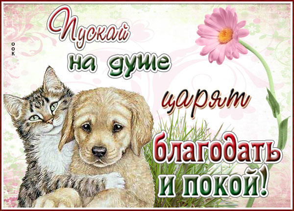 Открытка открытка желаю много счастья
