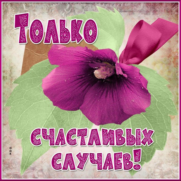 Картинка отличная картинка с пожеланиями