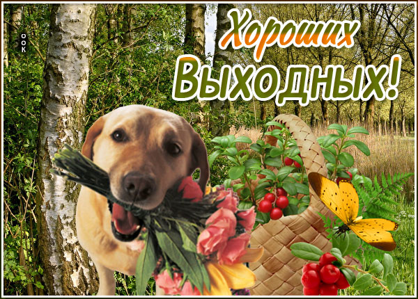 Открытка отличная открытка хороших выходных