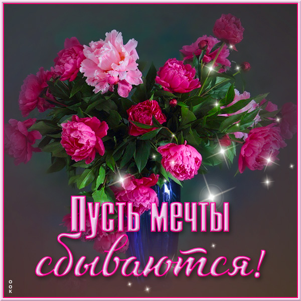 Картинка отличная открытка с цветами