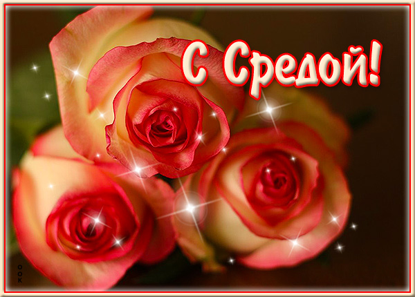 Открытка отличная открытка среда с цветами