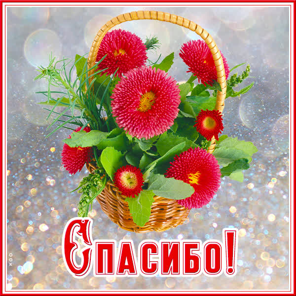 Picture отличная картинка спасибо