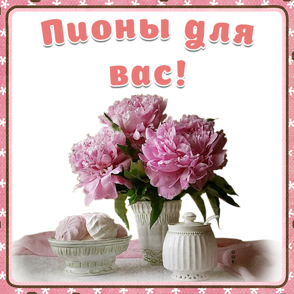 Открытка пионы для вас