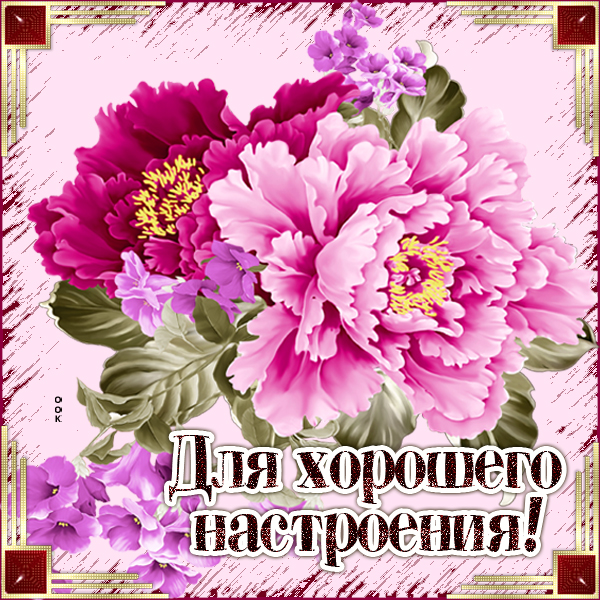 Открытка пионы тебе на счастье