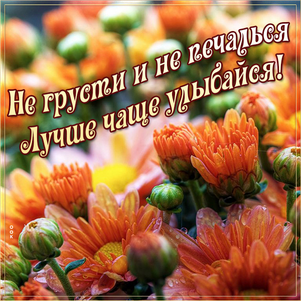 Картинка положительная картинка для настроения