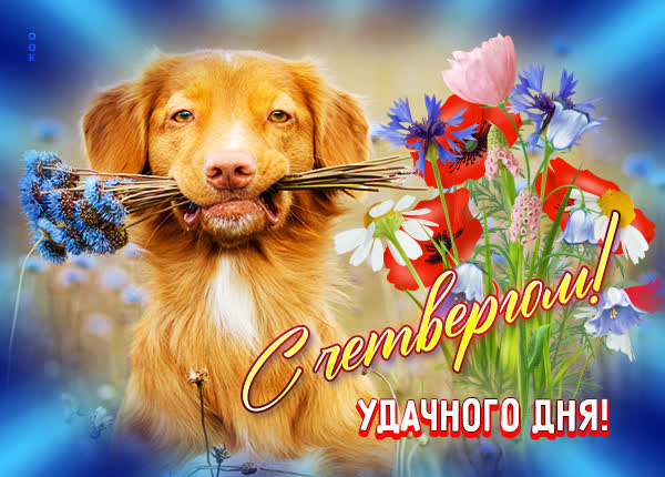 Picture потешная картинка с четвергом