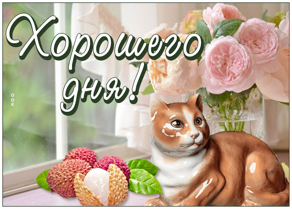 Картинка потрясающая открытка хорошего дня