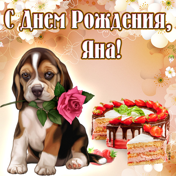 Открытка поздравительная открытка с днём рождения яна