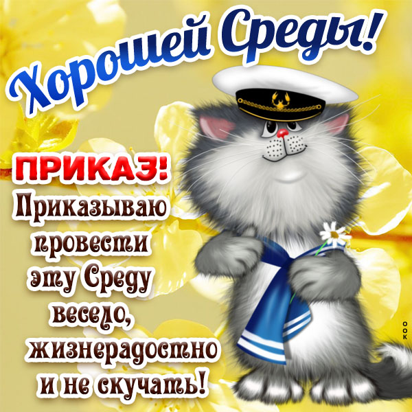 Открытка позитивная картинка со средой