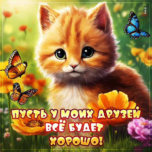 Picture прекрасная картинка пусть у моих друзей все будет хорошо