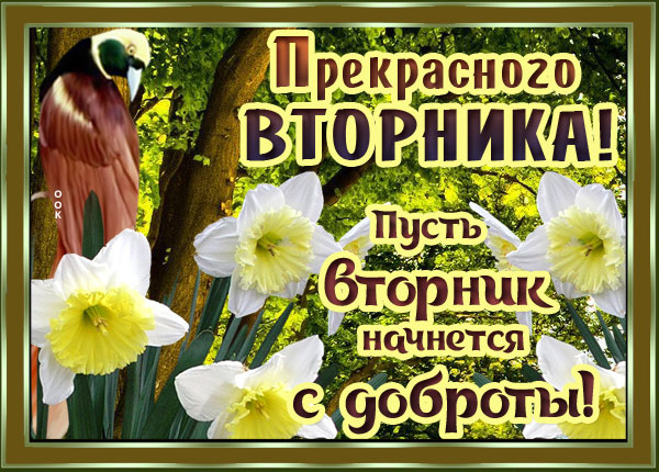 Открытка прекрасная картинка с вторником