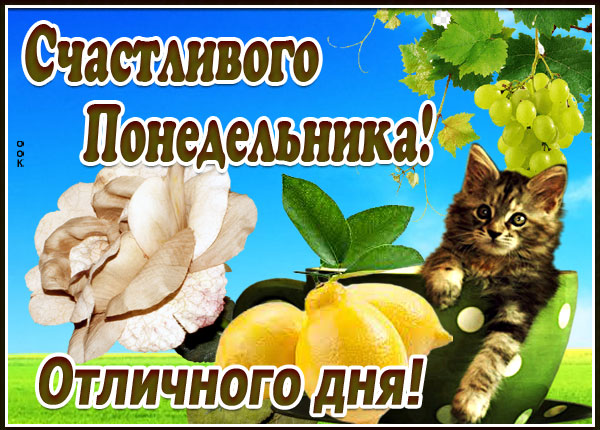 Открытка прекрасная картинка счастливого понедельника