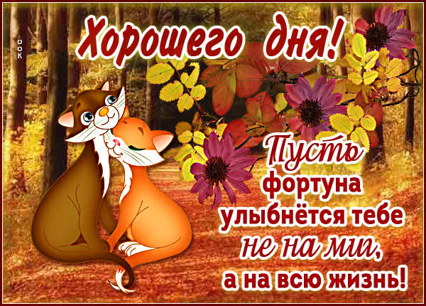 Picture прекрасная картинка хорошего осеннего дня