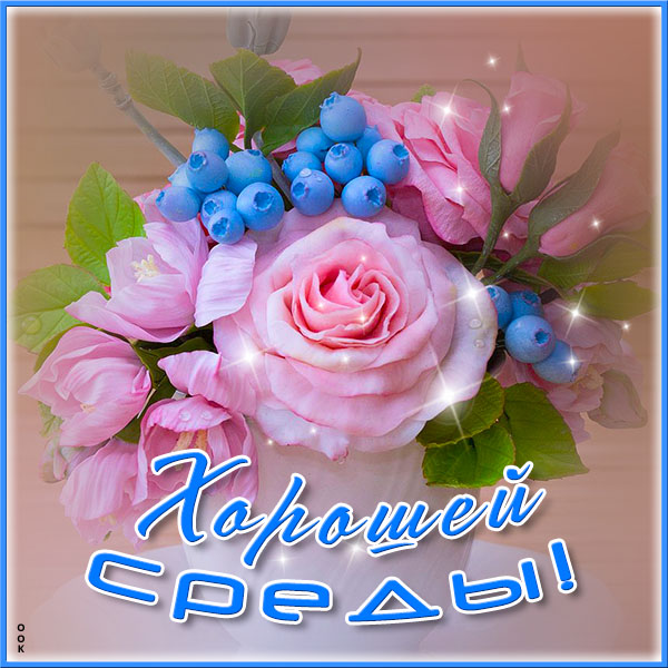 Открытка превосходная картинка со средой
