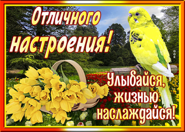 Картинка прикольная картинка хорошего настроения с надписями