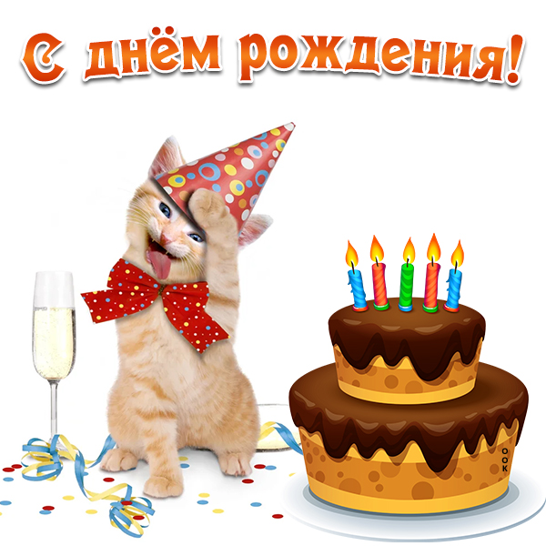 Открытка прикольная картинка с днем рождения