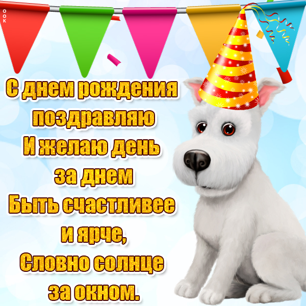 Картинка прикольная картинка с днем рождения с пожеланиями