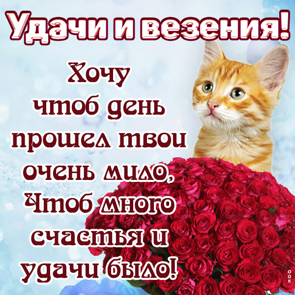 Открытка прикольная картинка с пожеланиями