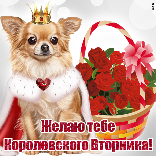Открытка прикольная картинка с вторником