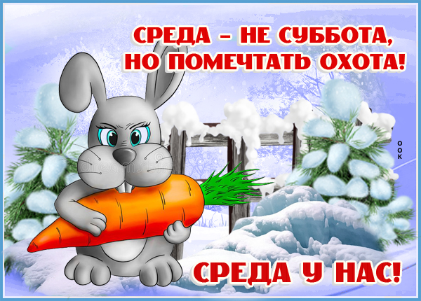 Картинка прикольная картинка со средой и зимой