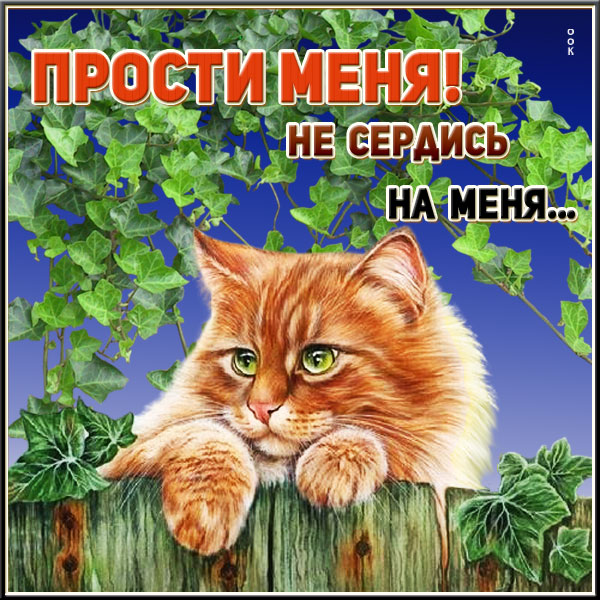 Картинка прикольная открытка прости