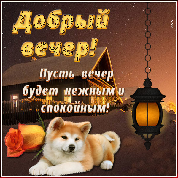 Картинка привлекательная открытка добрый вечер