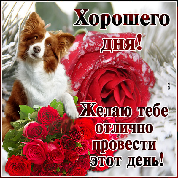 Открытка приятная картинка чудесного дня