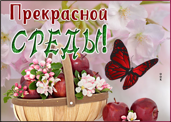 Открытка приятная открытка хорошей среды