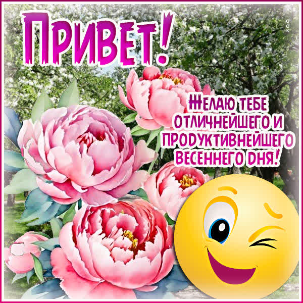 Postcard приятная открытка привет