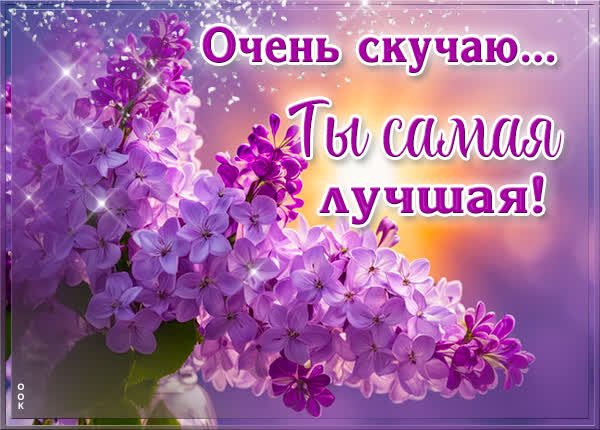 Postcard приятная открытка  ты самая лучшая