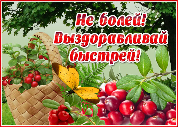 Открытка приятная открытка выздоравливай