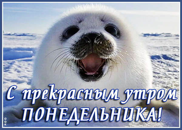 Картинка пусть понедельник заиграет яркими красками