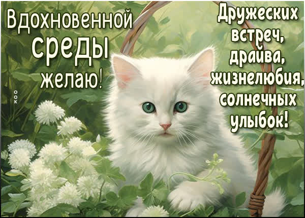 Picture романтичная открытка уютная открытка вдохновенной среды
