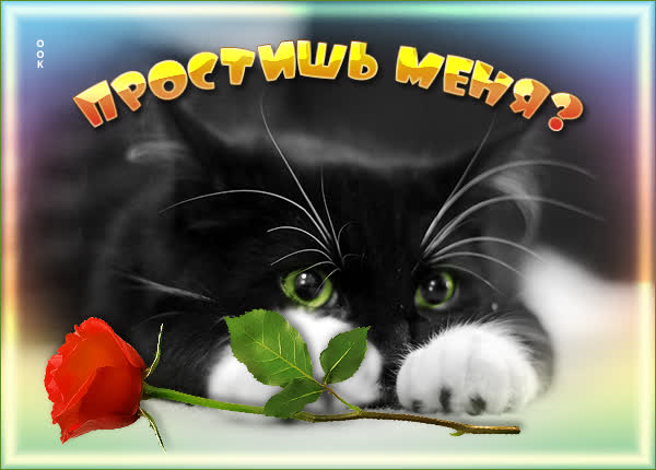 Picture роскошная открытка простишь меня