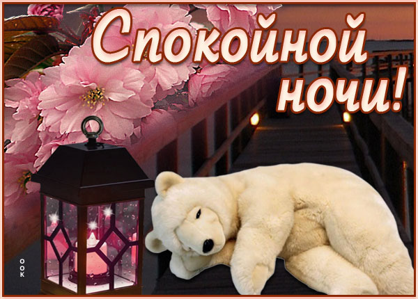 Картинка симпатичная открытка доброй ночи