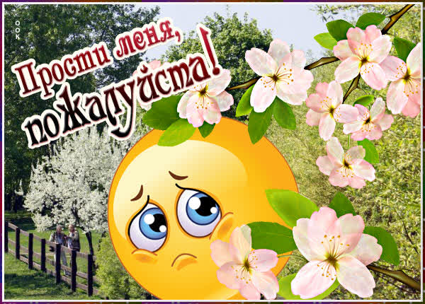 Picture симпатичная открытка прости меня пожалуйста
