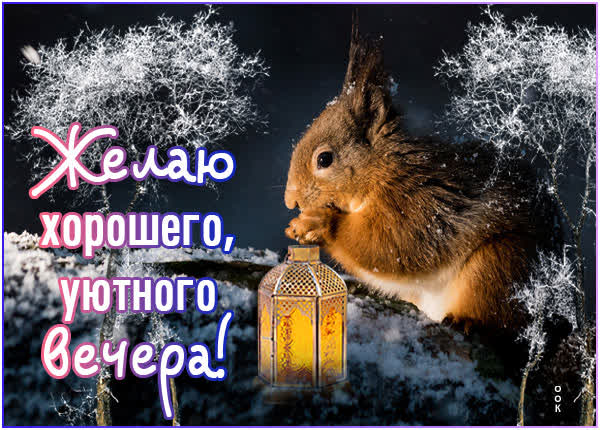 Postcard симпатичная открытка желаю хорошего уютного вечера