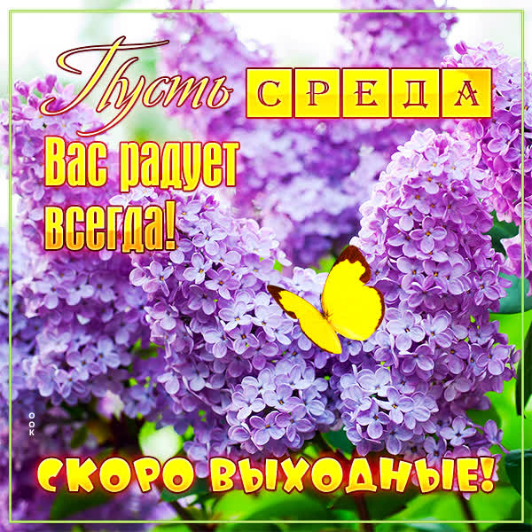 Picture сказочная открытка пусть среда вас радует всегда