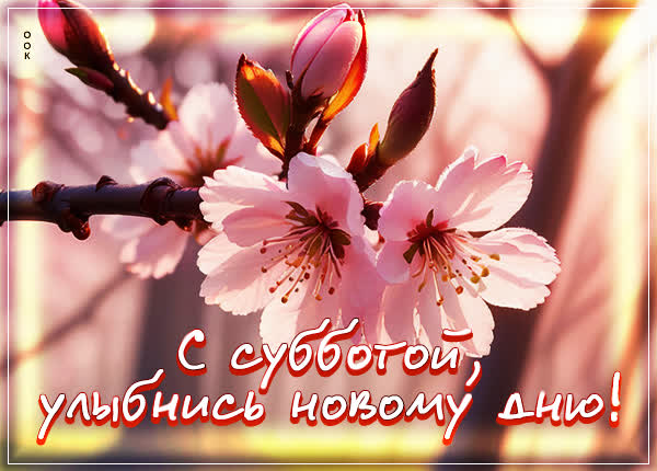 Picture сказочная открытка улыбнись новому дню