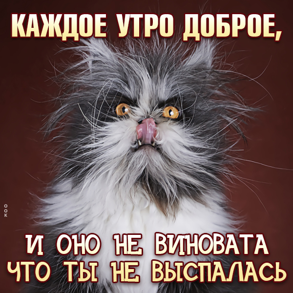 Картинка смешная картинка с  добрым утром, каждое утро доброе и оно не виновата что ты не выспалась