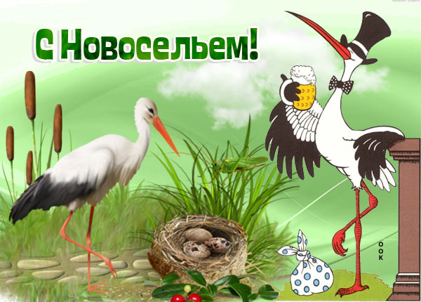 Картинка смешная картинка с новосельем