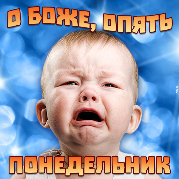 Картинка смешная картинка с понедельником