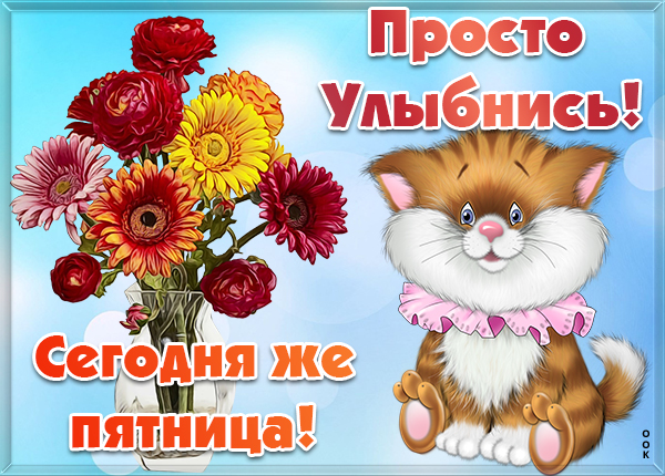 Картинка смешная картинка с пятницей