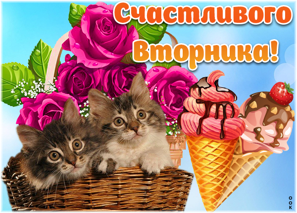 Открытка смешная картинка с вторником