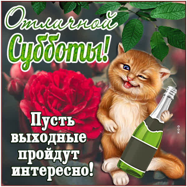 Postcard смешная картинка отличной субботы