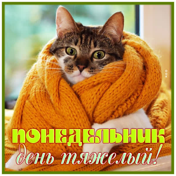 Picture смешная картинка понедельник день тяжелый