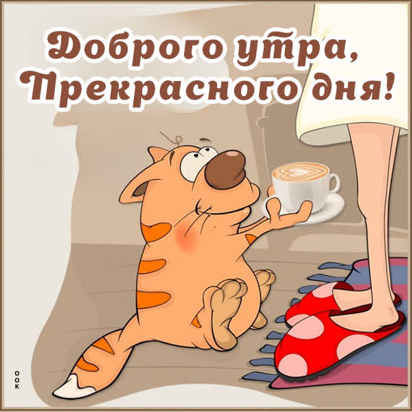 Postcard смешная картинка прекрасного дня