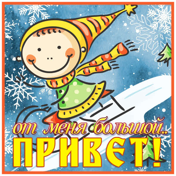 Postcard смешная картинка привет