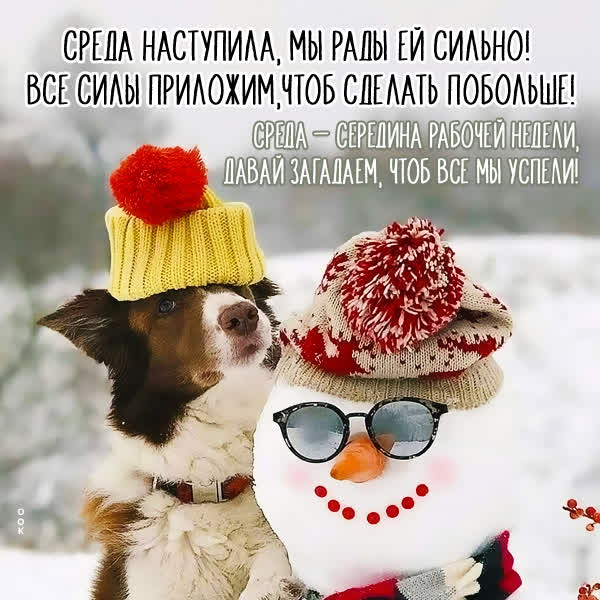 Picture смешная картинка среда наступила